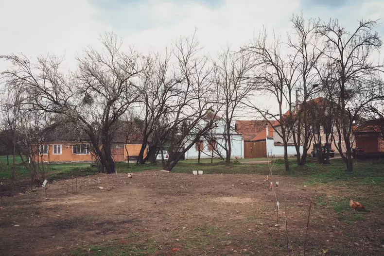 Curtea casei Viscri Dana Rogoz