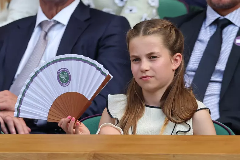 Wimbledon Tennis Championships-Day Fourteen