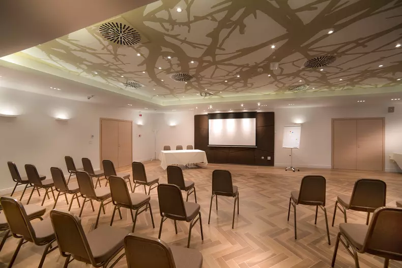 salon-Topaz-4