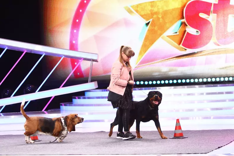 Next Star 6