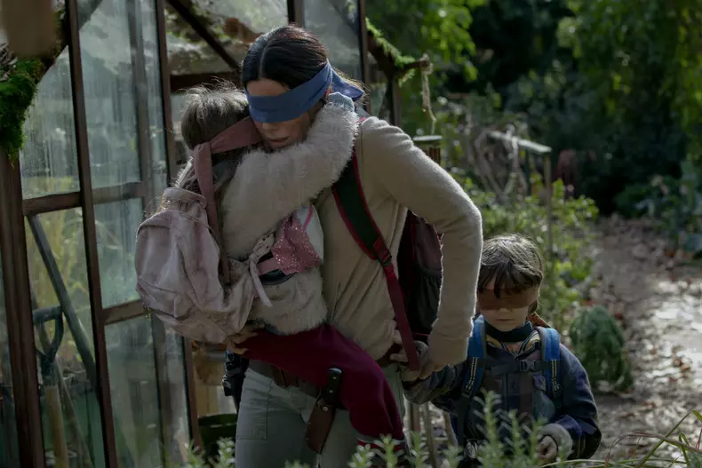 BirdBox_