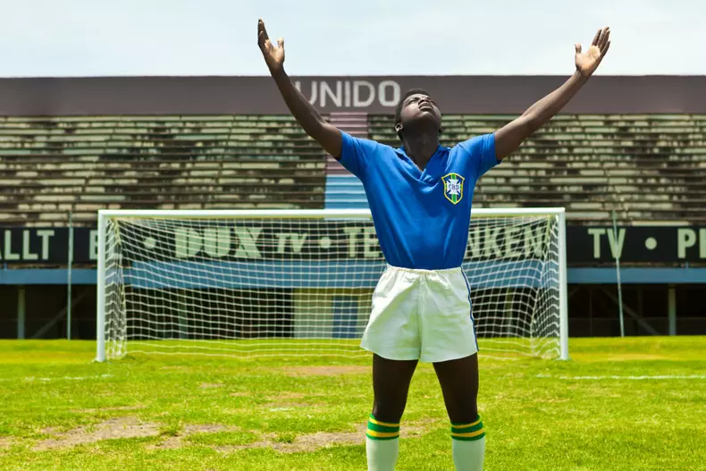 PELE-04879