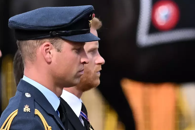 De ce este Regele Charles îngrijorat de volumul de memorii scris de Prințul Harry