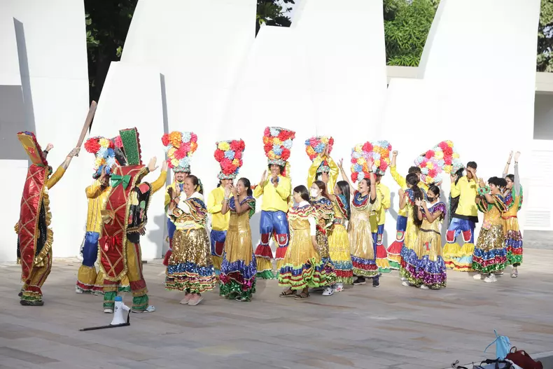 America-Express-carnaval_8