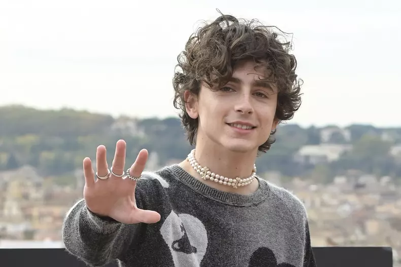 Timothée Chalamet, dezvăluiri despre acuzațiile de agresiune sexuală aduse lui Armie Hammer, colegul lui din „Call Me by Your Name”
