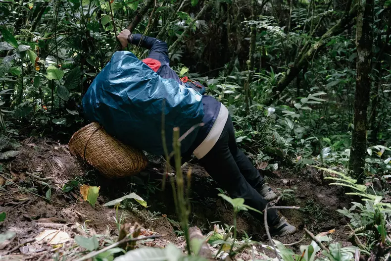 catalin-tociu-accident-la-america-express-2023-sezonul-2.-l-am-auzit-pe-romica-tipand-1