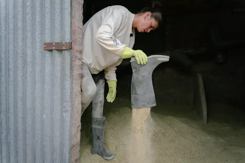 Echipele se despart_3