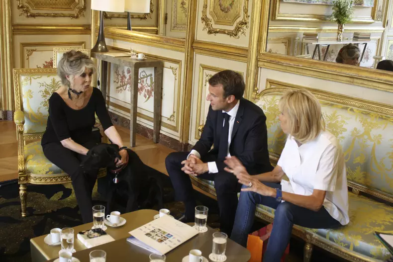 Exclusif - Brigitte Bardot reçue à l'Élysée en tant que présidente de la Fondation Brigitte Bardot par le président Emmanuel Macron et sa femme Brigitte Macron pour évoquer la condition animale