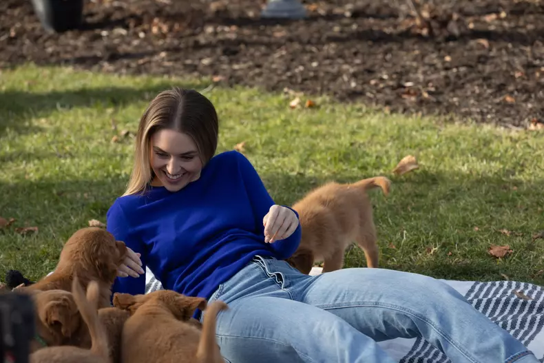 Cățeluși peste tot - Puppies Everywhere (4)