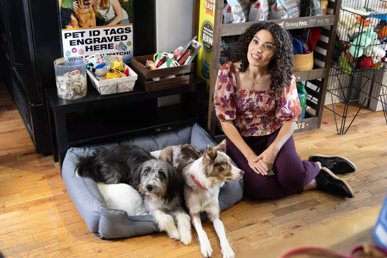 Cățeluși peste tot - Puppies Everywhere (6)