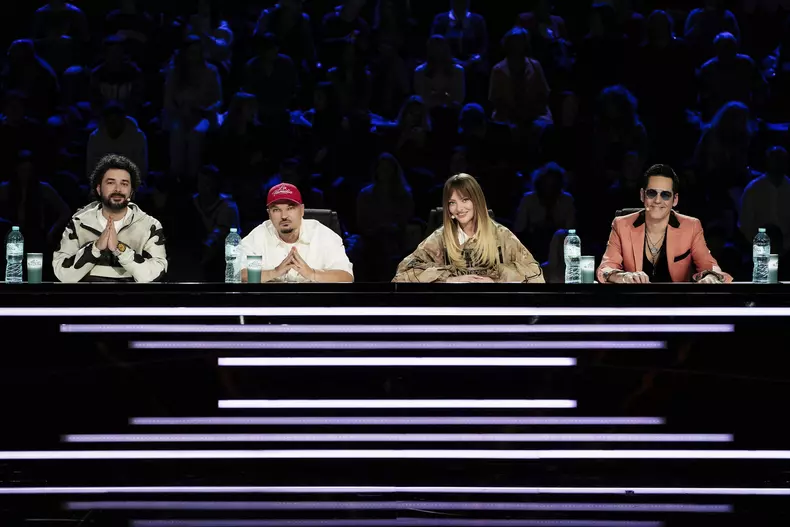 Juriul X Factor_2