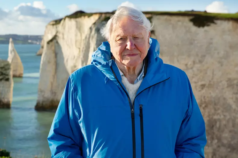 David-Attenborough