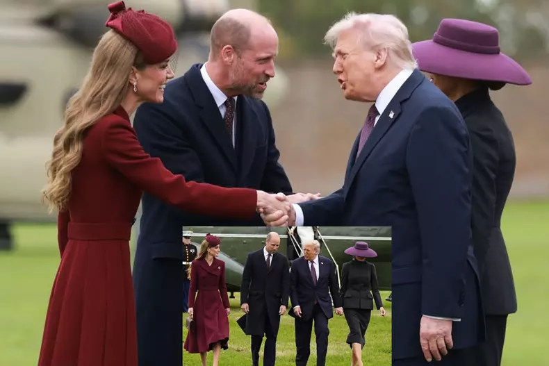 Skip to content Chat history You said_ Prințul William și Prințesa Kate i-au primit oficial pe Dona