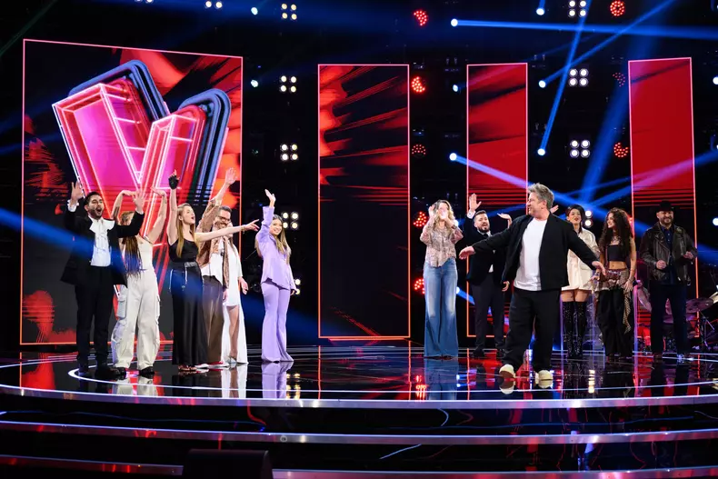 Vocea României (3)