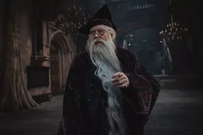 serialul-harry-potter-hbo (10)