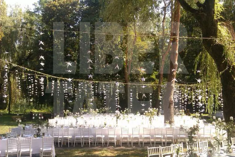 Laura Cosoi, nunta in decor de vis