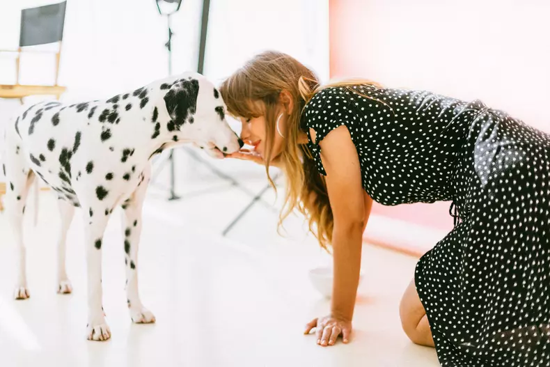 Animale-de-companie-coronavirus-7