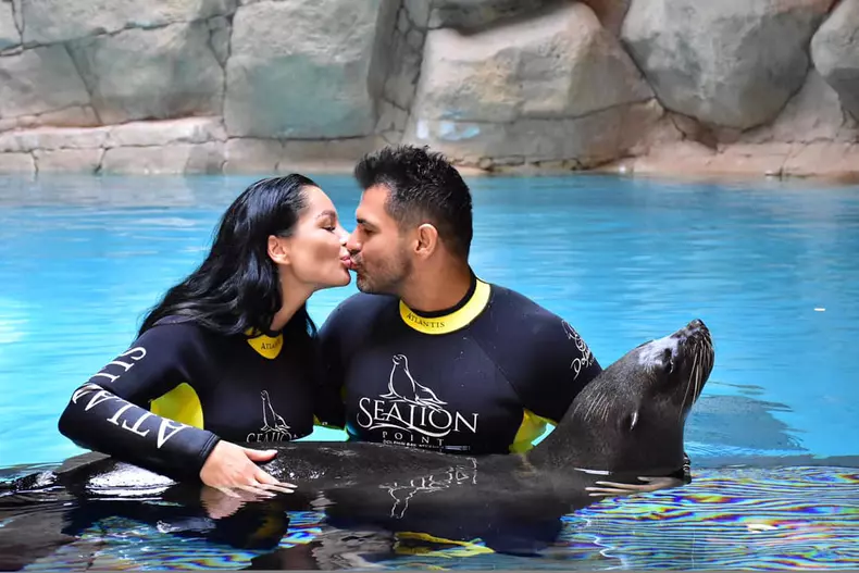 Brigitte-și-Florin-Pastramă-4