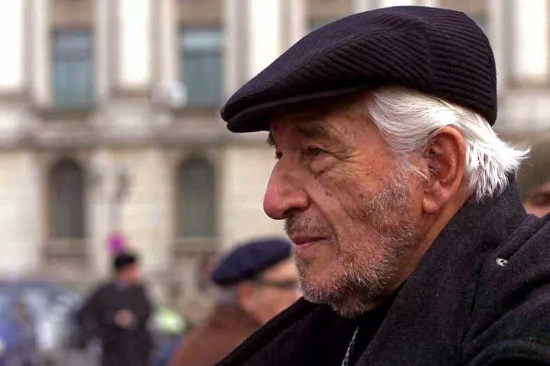 SERGIU NICOLAESCU - REGIZOR