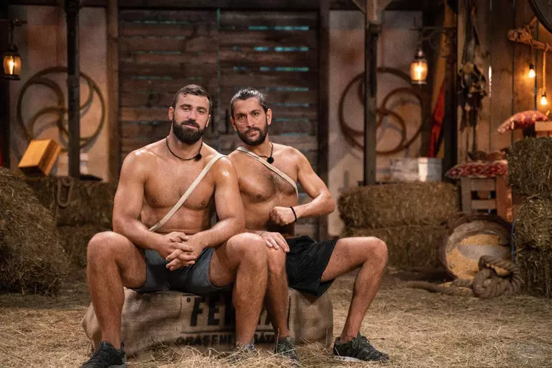 Andrei-Stoica-Ferma-4