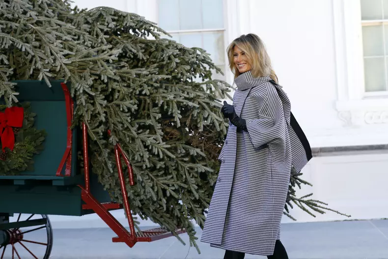 Melania și Donald Trump Crăciun