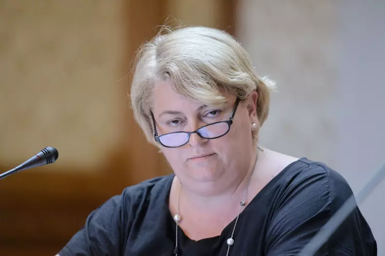 PARLAMENT - COMISIA DE CULTURA - AUDIERE - DOINA GRADEA