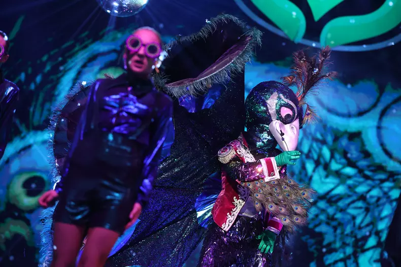 Paunul-Masked-Singer-Romania