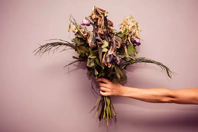 A,Woman's,Hand,Is,Holding,A,Bouquet,Of,Dead,Flowers
