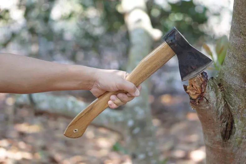 Hand,Holding,An,Axe,To,Cut,Branch,Of,Tree.,Manual