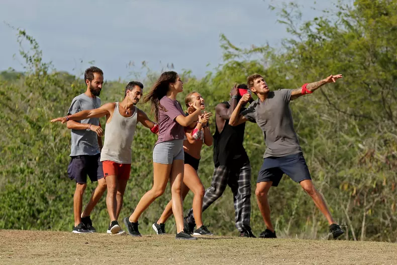 Vulturii-recompensa-Comunicare