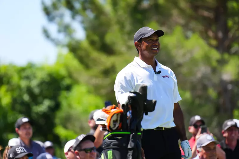 tiger woods 5