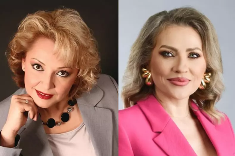 mihaela tatu colaj mirela vaida