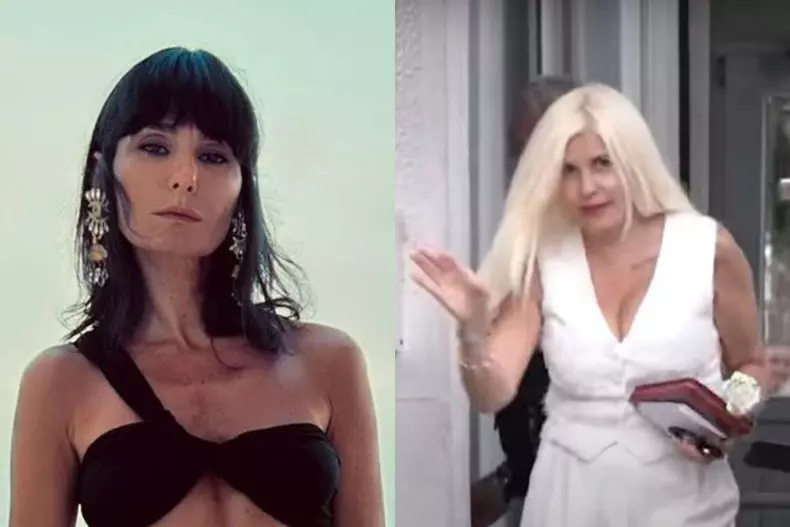 Colaj foto cu Elena Udrea și Dana Budeanu