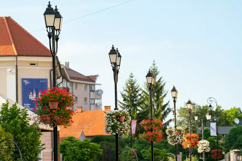 Sfântu Gheorghe6