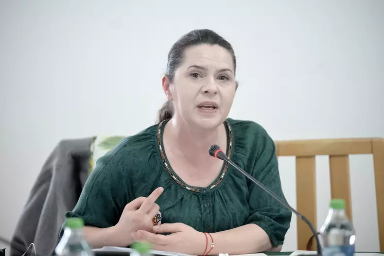 BUCURESTI - PARLAMENT - COMISIA PENTRU ABUZURI SI PETITII