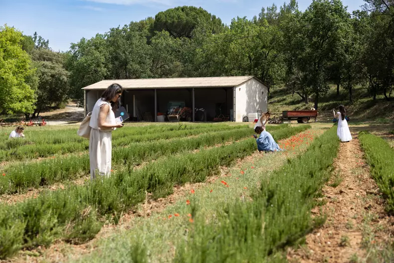 rozmarin-provence-weleda (2)