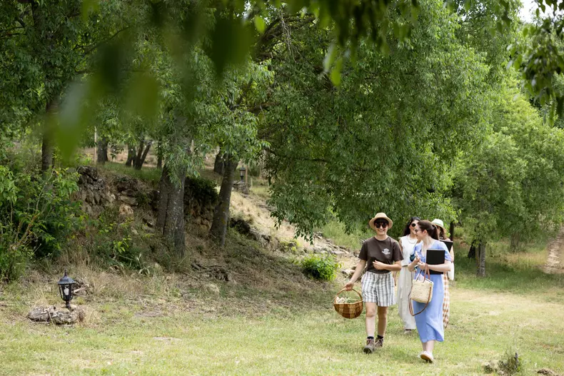 rozmarin-provence-weleda (4)