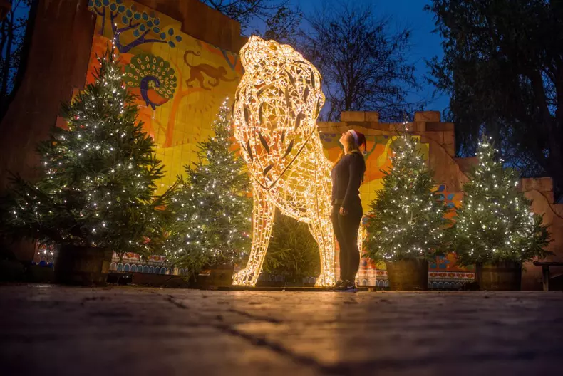 Gradina Zoologica din Londra, decorată de Sărbători