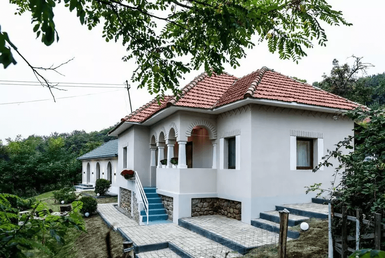 ilina-parvu