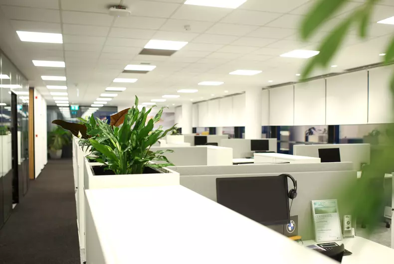 P90628442_highRes_bmw-group-romania-of