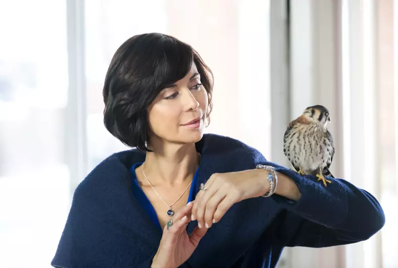 DIVA anunță finalul serialului „Vrăjitoarea cea bună”. Când e ultimul episod