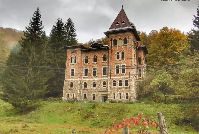 245646877_4126120994155457_7269779780001054630_n