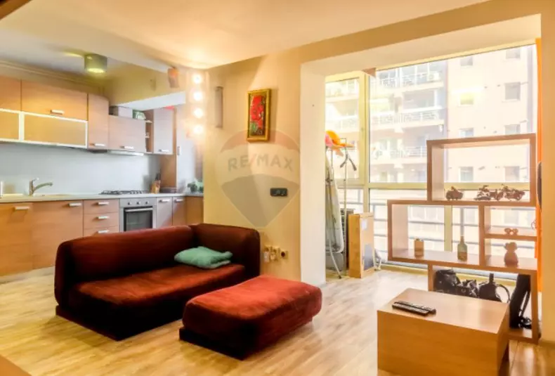 dani-otil-garsoniera-8