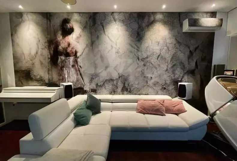 casa-liviu-varciu-1