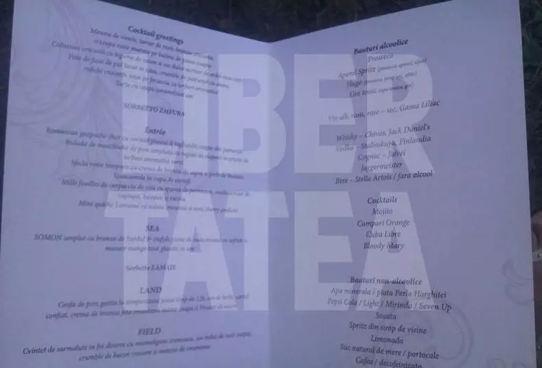 Laura Cosoi - meniu nunta -