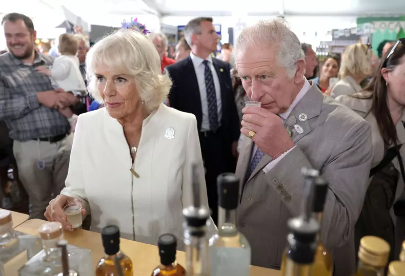 Camilla, detalii rare despre căsnicia ei cu prințul Charles