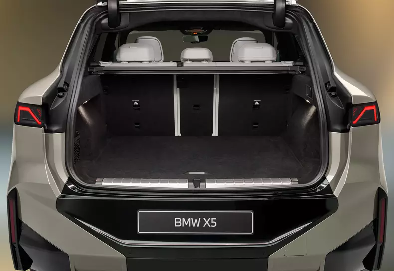 P90646048_highRes_bmw-ix5-60-xdrive-06
