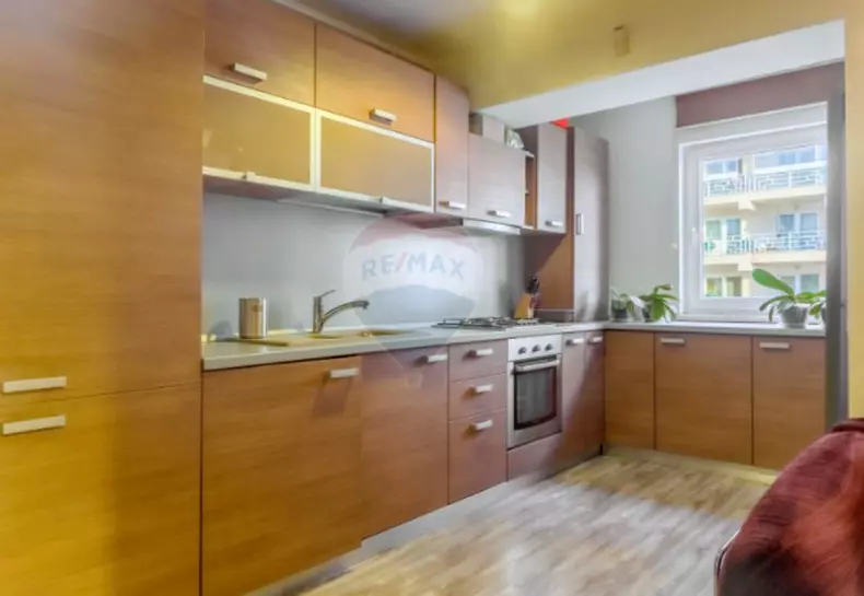 dani-otil-garsoniera-9