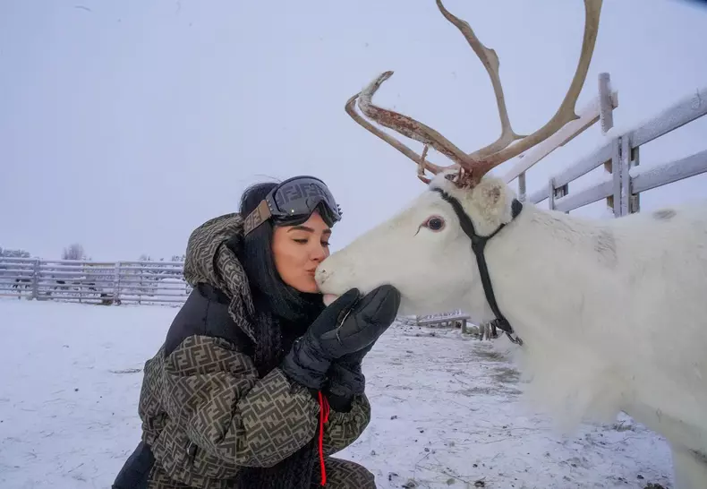 Adelina Laponia de Craciun