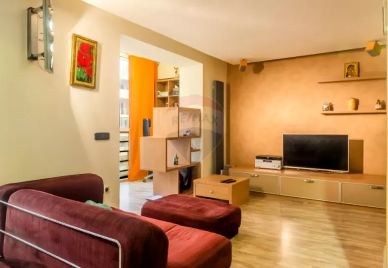 dani-otil-garsoniera-11